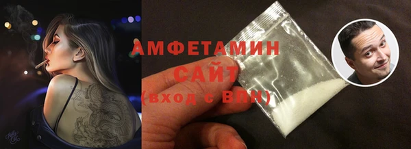 молекула духа Бородино