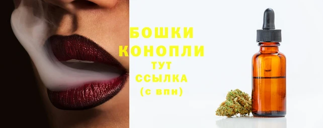 молекула духа Бородино