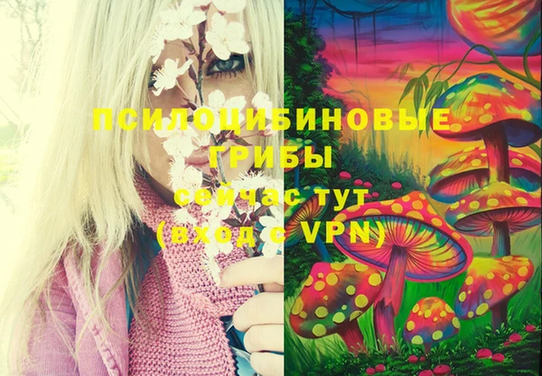 молекула духа Бородино
