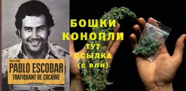 молекула духа Бородино