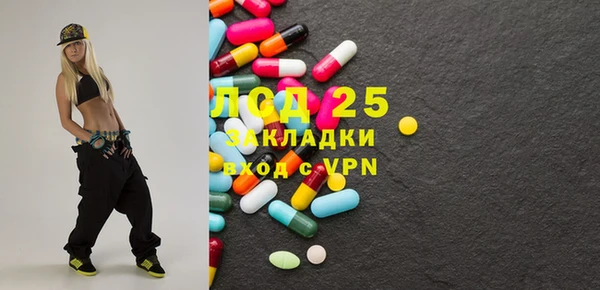 молекула духа Бородино
