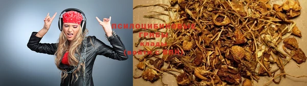 амф Бугульма